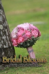 495754815_n copy
