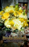 1386519345_n copy