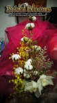 467896147_n copy